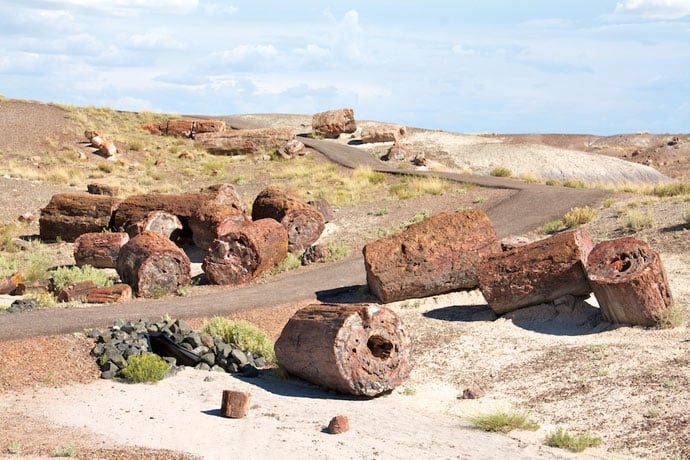 painted_petrified_route_66-102