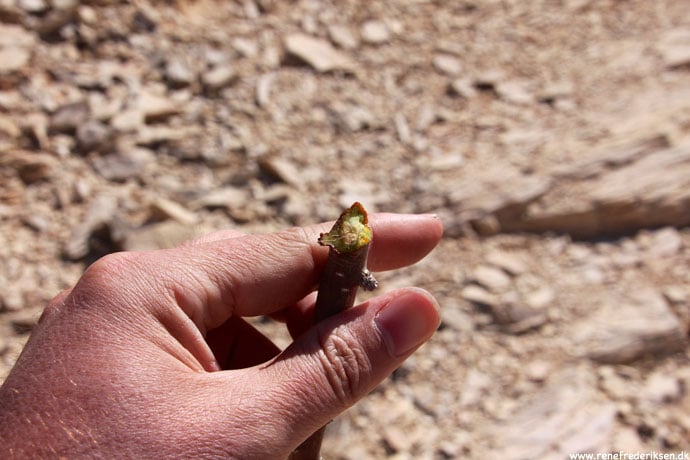 rio_grande_kano_roadtrip_2013-28