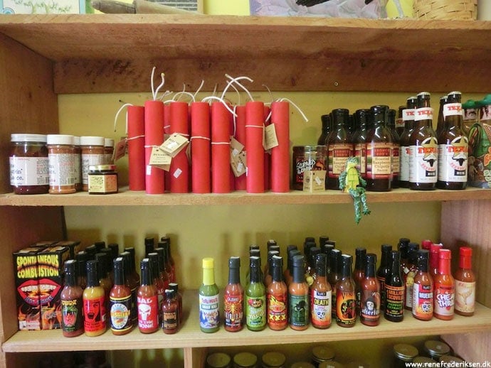 terlingua_ghost_town_roadtrip_2013-10