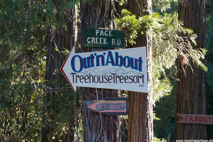 out_about_treesort_oregon_roadtrip_2012-1