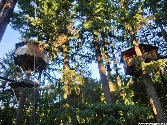 Unik overnatning i trætoppene i Oregon