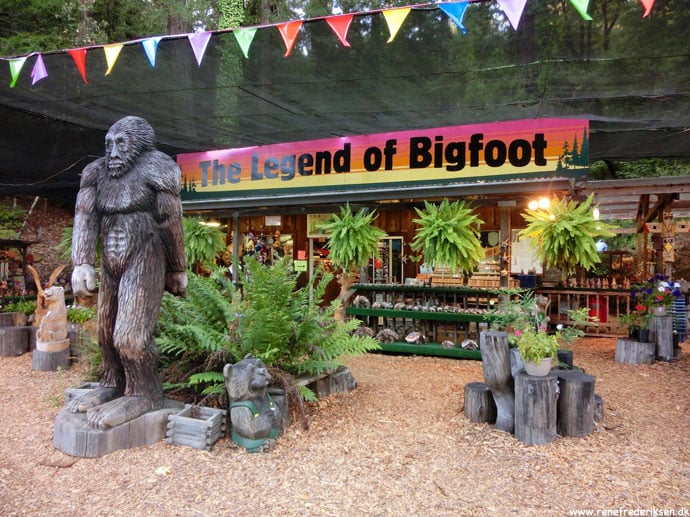 redwood_highway_1_california_roadtrip_2012-12