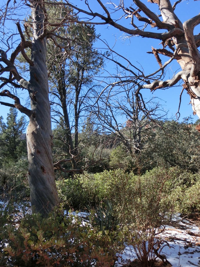 sedona_red_rocks_pink_jeep_roadtrip_2013-8