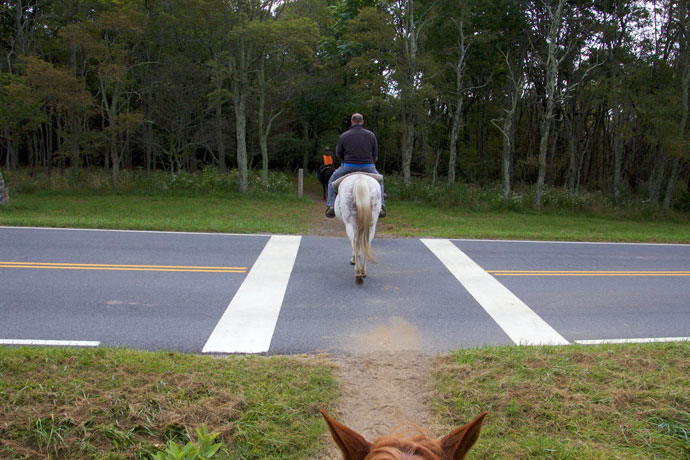 shenandoah_national_park_horseback_riding_roadtrip_2013-3