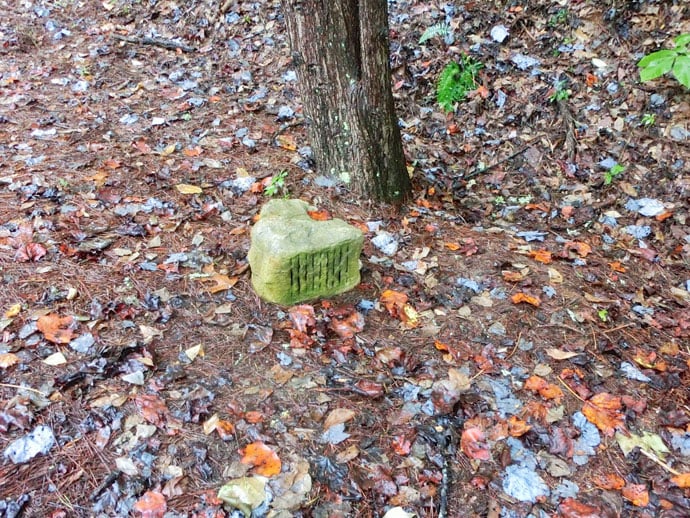 Dollywood_Tennessee_roadtrip_2013-18