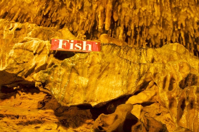 ruby_falls_chattanooga_Tennessee_roadtrip_2013-9