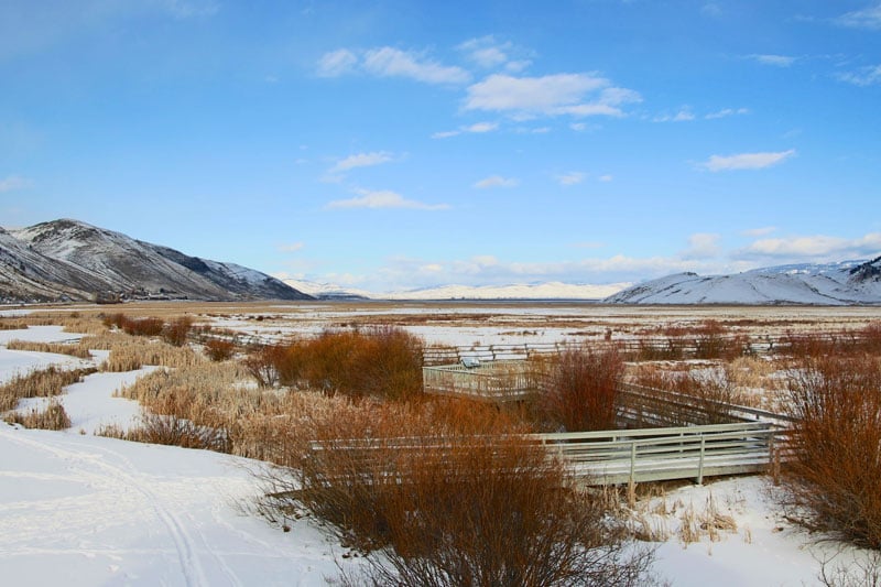 elk_refuge_jackson_hole_roadtrip_2013-3