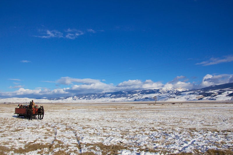 elk_refuge_jackson_hole_roadtrip_2013-6