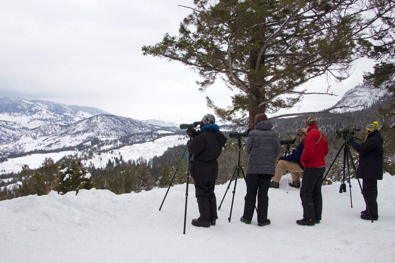 yellowstone_snowmobile_day2_roadtrip_2013-16
