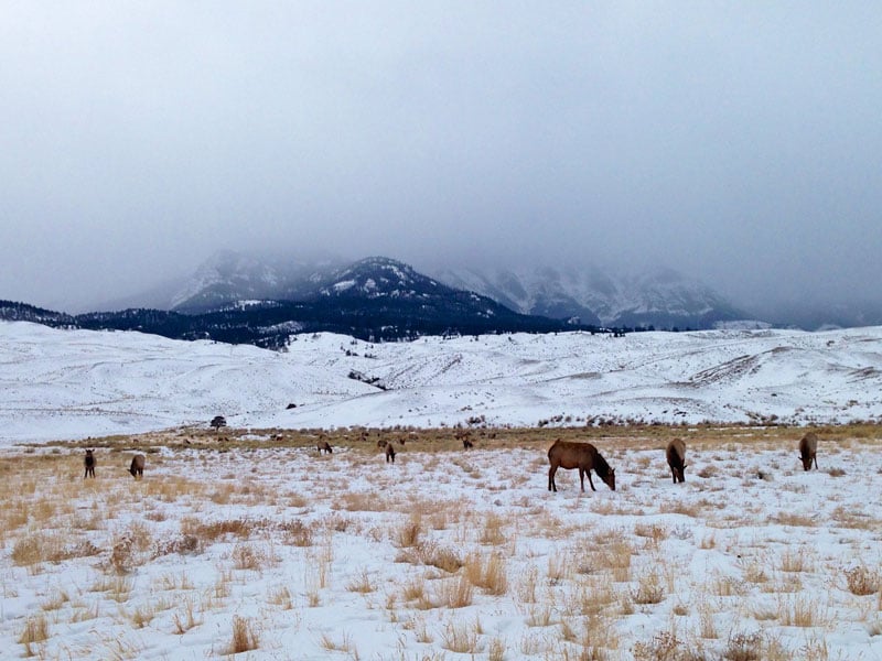 yellowstone_snowmobile_day2_roadtrip_2013-4
