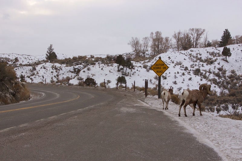 yellowstone_snowmobile_day2_roadtrip_2013-8