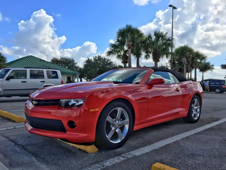 Billeje til krydstogt i Florida