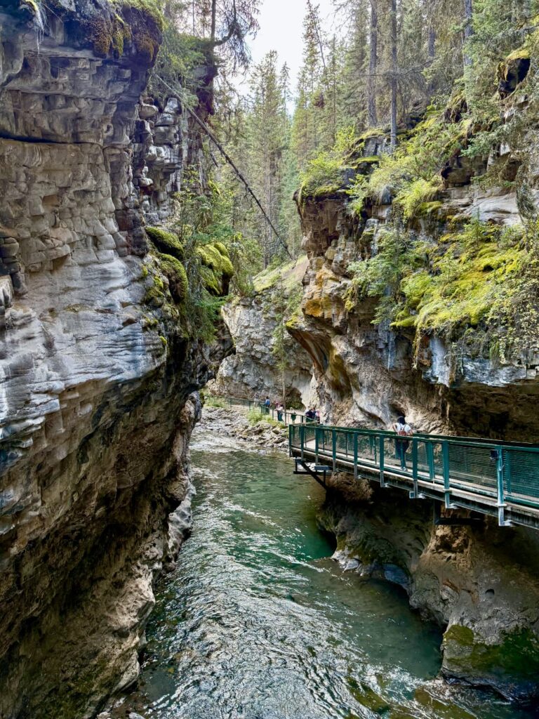 Johnston Canyon – vandretur til Lower og Upper Falls