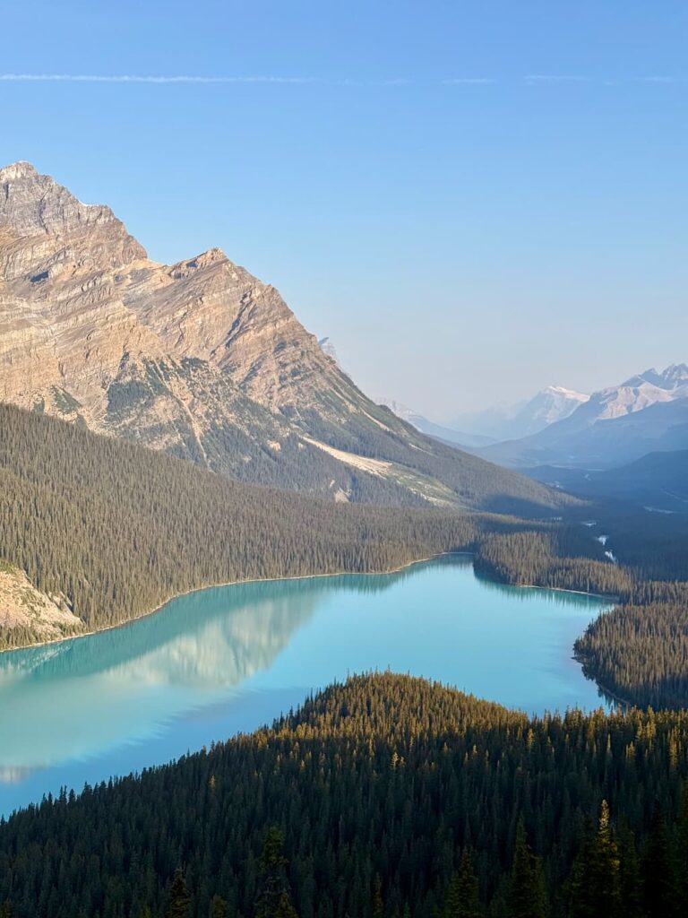 Peyto Lake – ikonisk udsigt på Icefields Parkway