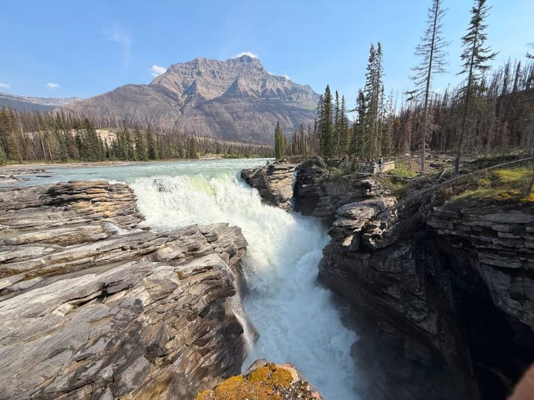 Athabasca Falls på Icefields Parkway