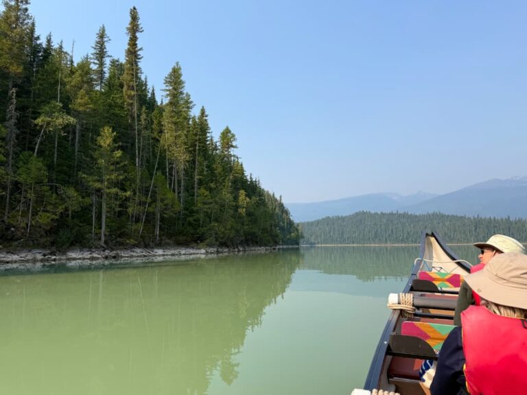 Blue River Safari – bjørne og naturoplevelser i British Columbia