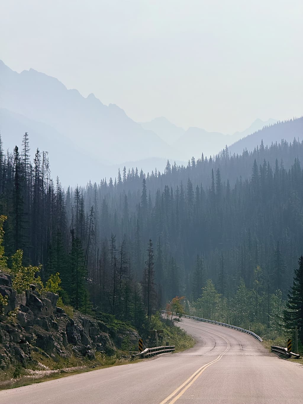 Køretur gennem Maligne Valley på Maligne Lake Road mod Medicine Lake i Jasper National Park